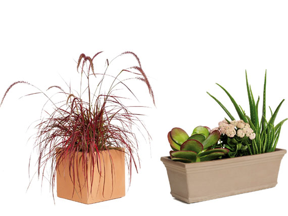 Pon tus balcones a punto de primavera (2ª parte)	